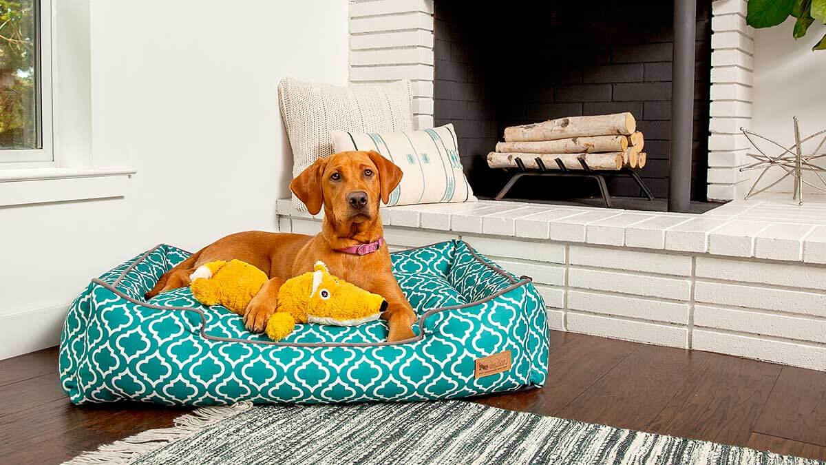 Relaxed dog lying in a teal-patterned dog bed with a yellow toy, by a cozy home fireplace.