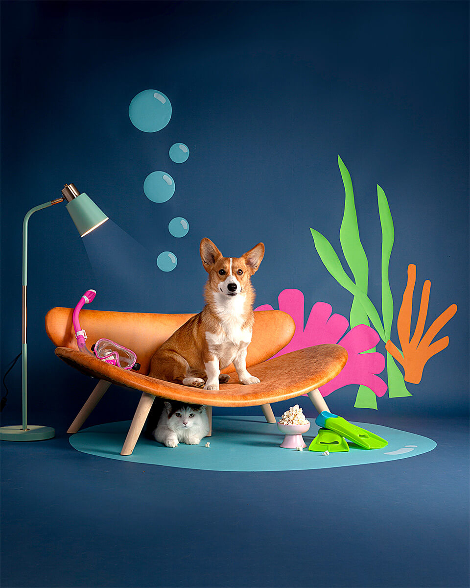 A corgi dog perched on a modern lounge chair with underwater-themed props and a hidden cat underneath, set against a vibrant blue studio background for a surreal effect.