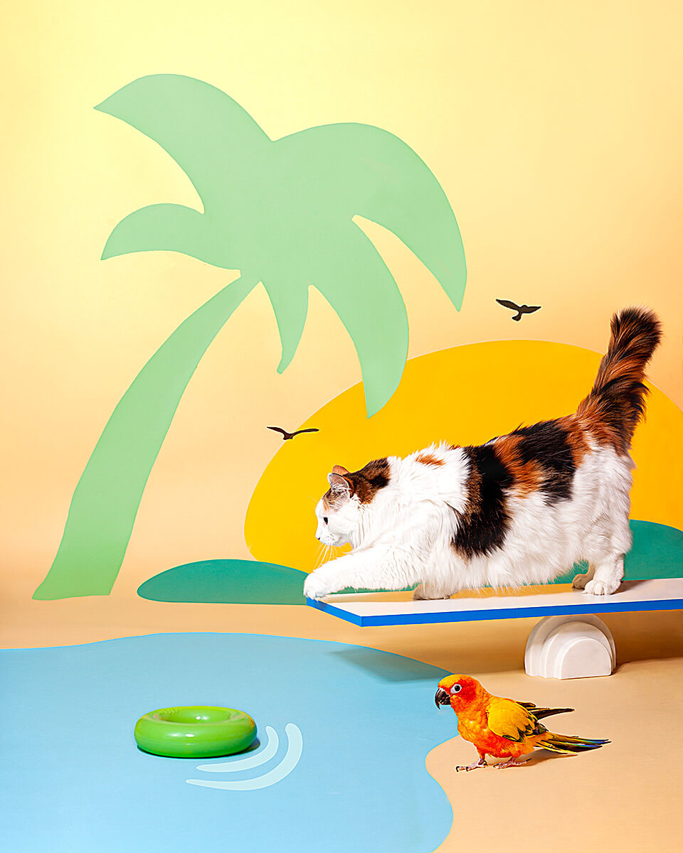 A cat on a diving board with a parrot nearby, both set against a whimsical beach backdrop with palm silhouette, crafting a playful summer studio scene.