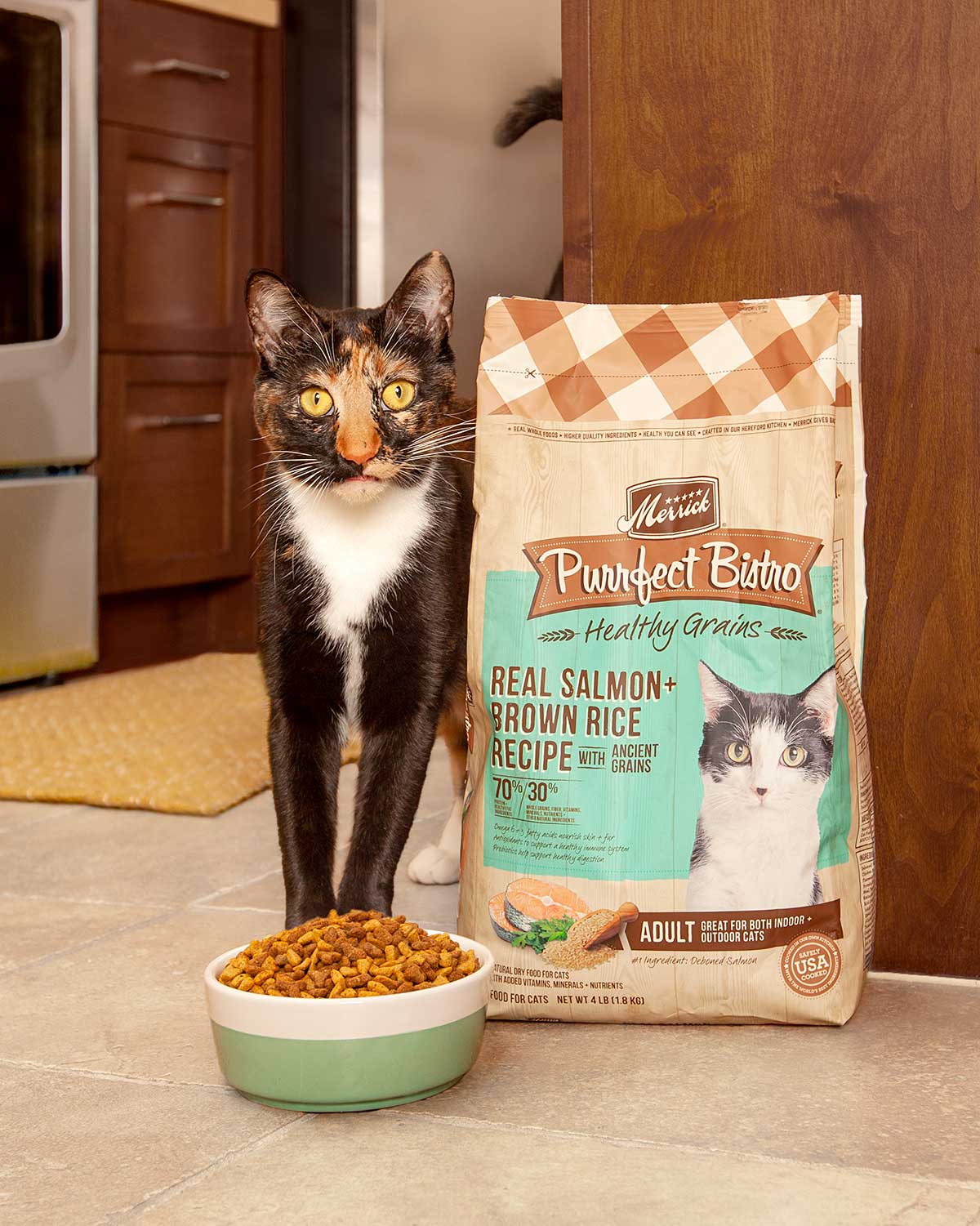 Cat with striking yellow eyes poses with a bowl of cat food and the food bag.