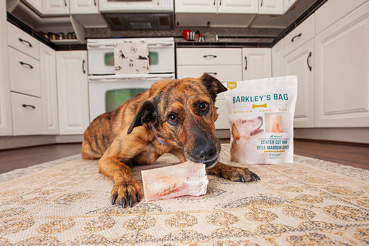 Dog lying on a kitchen floor with a natural raw beef marrow bone product by its side.