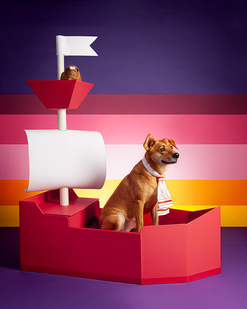 A brown dog in a sailor's outfit aboard a stylized red and white paper sailboat, set against a backdrop of bold horizontal stripes in shades of pink and purple.